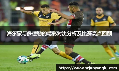 海尔蒙与多德勒的精彩对决分析及比赛亮点回顾